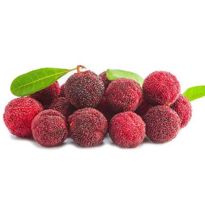 China 2021 Chinese Good Quality Yang Mei Red Waxberry Sweet Red Wholesale Fresh Bayberry for sale