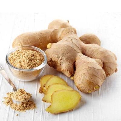 China New Cultured Ginger From Ginger Supplier Conventional Fresh Organic Ginger for sale