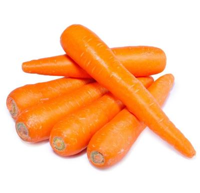 China 2021 new season export fresh crispy fresh carrots and sweet fresh natural orange red for sale