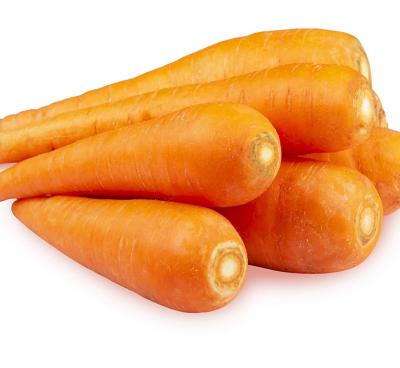 China 2021 fresh new season fresh vegetable export with international certifications fresh carrot for sale