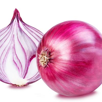 China New crop 2021 chinese fresh onion fresh high quality natural fresh onion export for sale