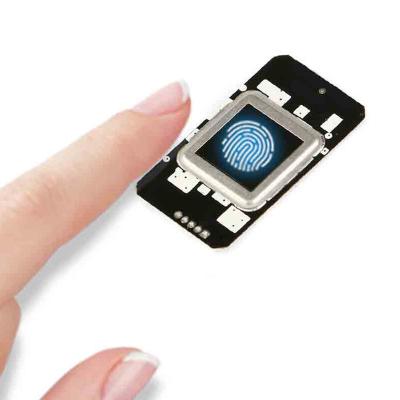 China NO Sensors Padlock FPC1020 Smart Scanner Morpho Cerradura Access Control Semiconductor Capacitive ID Fingerprint Module for sale