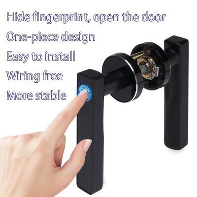 China Remarkable Quality Fingerprint Smart Handle Lock Universal Fingerprint Lock RX0 for sale