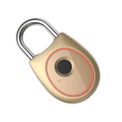 China 2020 Year Outstanding Quality Fingerprint Smart Padlock RX101 for sale