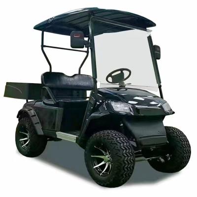 China CE certified cheap 2 seater/single nimi golf cart/guided cart for sale 23*10.5-12 for sale