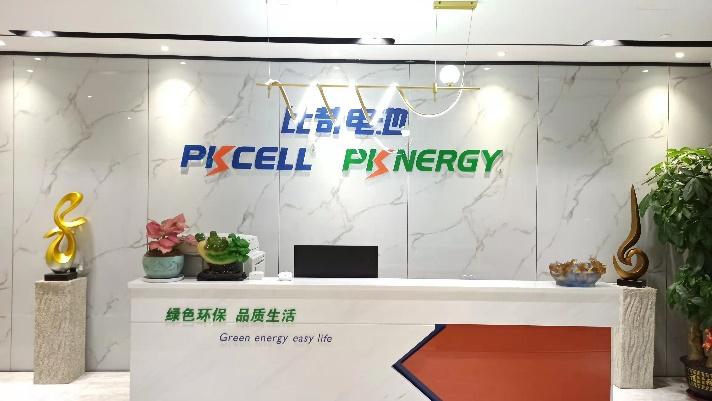 Verified China supplier - Shenzhen Pkcell Battery Co., Ltd.