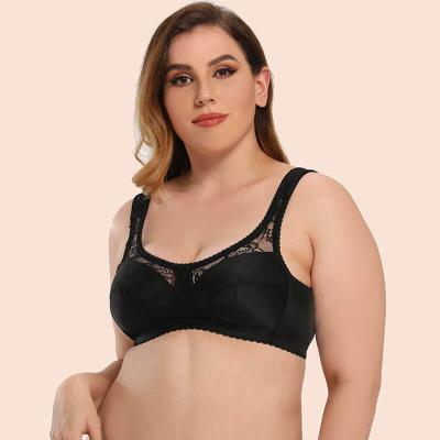 China Suppliers Breathable Bras Apparel Lingerie Transparent Lace Plus Size Bras 38f Cup New Arrival Bra Set For Women for sale