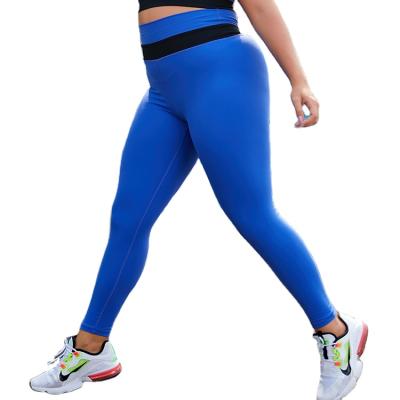 China Anti-UV Naked Feeling Leggings Plus Size Sports Women Fitness Running Blue Gym High Waist Legging Yoga Pants for sale