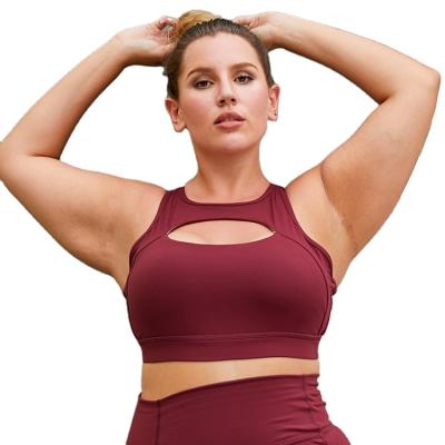 China Free Sample Anti-UV Custom Women High Impact Sports Bra Plus Size 1X-4X Big Hollow Fitness Yoga Bra For Big Breast for sale