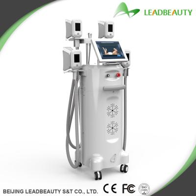 China 1000W output cryolipoltsis fat loss machine for sale