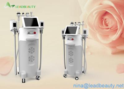 China Cryolipolysis weight lose beauty machine multi-functional machine with good feedback for sale