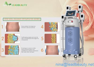 China 4 Big heads -15-5℃  Cooling  cryolipolysis slimming machine for body shaping for sale