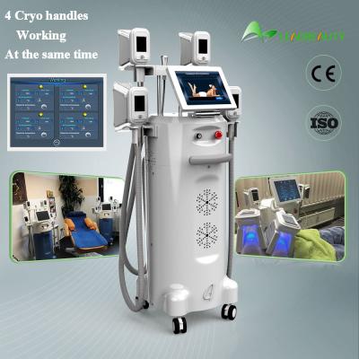 China Professional Cool Tech Liposuction Body Sculpting Medical Kriolipoliza Lipocryo Fat Reduction Freezefats System for sale