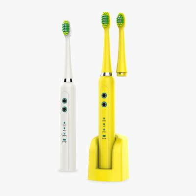 China Battery Operated Waterproof Rechargeable Electric Toothbrush Automatic Adult Electric Ultrasonic Toothbrush for sale