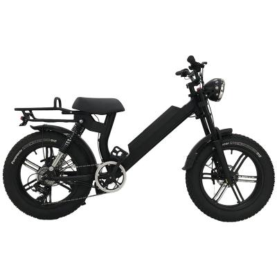 China Hot Sale OEM Electric Cargo Bike Aluminum Alloy Popular Fat Tire Electric Dirt Bike for sale