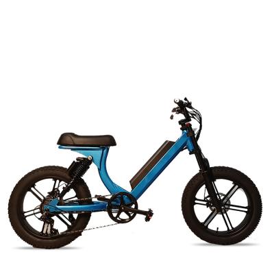 China Wholesale Aluminum Alloy 7 Speed ​​Electric Bike Aluminum Tire High Quality Electric Bike Bicycle for sale