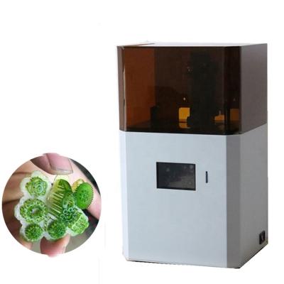 China Factory Sale DLP 3d Printer For Jewelry Printing Area 120x70x100mm for sale