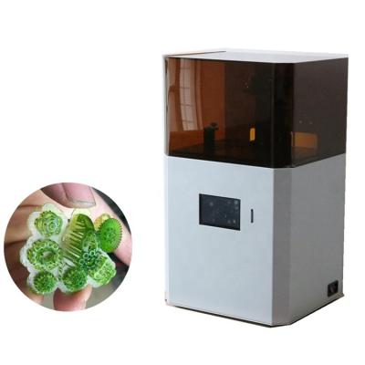 China Jewelry casting or DLP 3d casting printer for custom software and high resolution jewelry 20-65um functions for sale