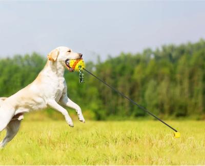 China Unbreakable Viable Dog Chew Toys Aggressive Chewers Outdoor Dog Chewing Ball Tug Toy Squeaky Jolly and Floating on Water for sale