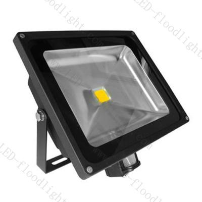 China PIR sensor 50w led flood light IP65 factory price for sale