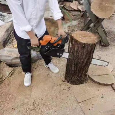 China MS250 18inch 3hp 45CC chainsaw chainsaw 2-Stroke machine factory price classic type firewooding tree felling for sale