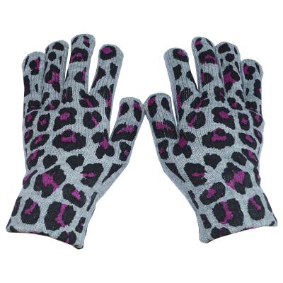 China New Popularity Hot Sale Heat Products Winter Hot Lady Fashion Gloves Leopard Print for sale