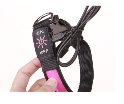 China Sustainable Pet Accessories Dogs, Led Collar For Dogs, USB Rechargeable Led Dog Collar for sale