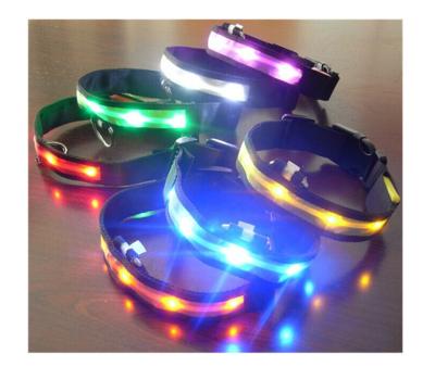 China Viable Pet Accessories Wholesale China In Cheap Pet Products With Led Pet Collar for sale