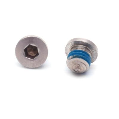 China M2 M3 M4 M5 M6 M7 M8 Super Low Hexagon Socket Super Low Head Machine Screws With Nylon Patch for sale