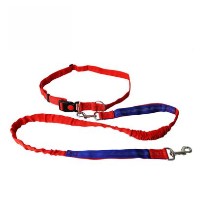 China Thoughtful Top Selling Luxury Nylon Running Bungee Hands Free Dog Leash for sale