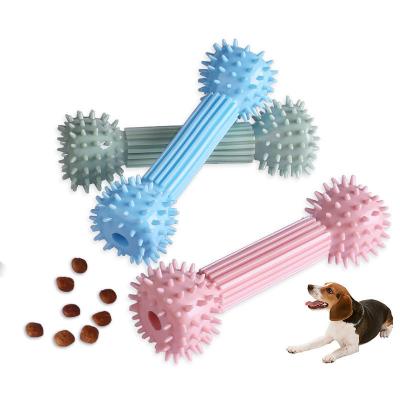 China Viable Pet Molar Chewing Chewing Toy TPR Funny Pet Dog Toothbrush Teeth Dog Game Interactive Educational Pet Cleaning Toy Stick Molar for sale