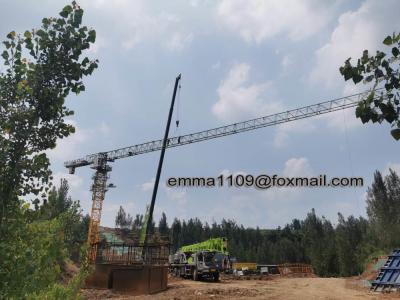 China Hot Sale PT5020 50M Working Jib Crane Tower Normally Relay Controllers System for sale