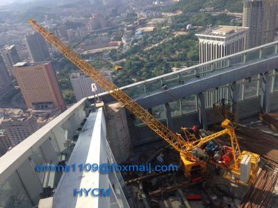 China 3000kg Load Mini Derrick Crane Luffing Tower for Internal Climbing Tower Crane for sale