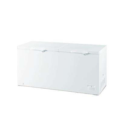 China Hotel Double Door Freezer Upright Lab Chest Freeze For Philippines for sale