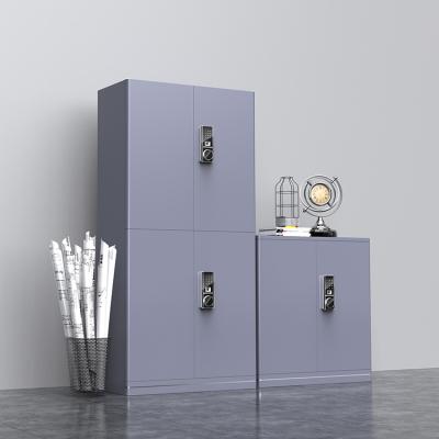 China With drawer Office Cabinet 2 Door Steel Filing Cabinet Metal Office Filing Metal Storage Cabinet for sale