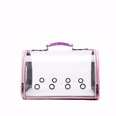 China New Fashion Transparent PET Pannier Portable Folding Portable Pet Aviation Case Cat Bag Shoulder Space Cat Bag One for sale