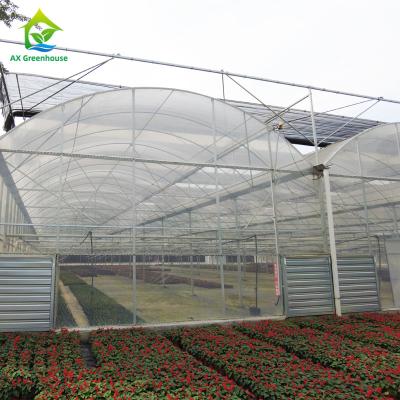 Cina Serra del film plastico della portata dell'arco della cupola multi per la crescita dell'azienda agricola di ampia area in vendita