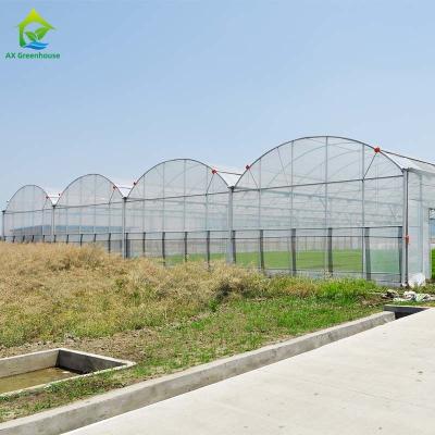 China De multi Plastic Serre van de Spanwijdte Hydroponic Tomaat 150 Micron het Plastic Film Behandelen Te koop