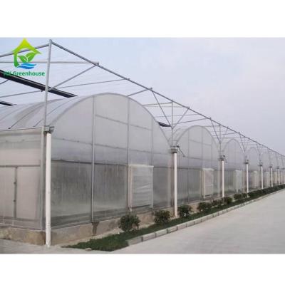 China Plastic de Systemen Multispanwijdte van de Blad Hydroponic Serre Te koop