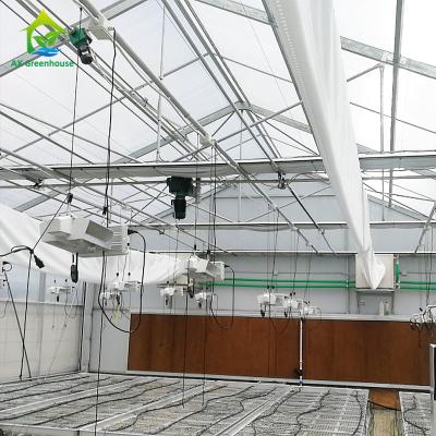 Chine Serre chaude 100% de tunnel de privation du film 220V de PE haute de panne d'électricité légère automatique de serre chaude pour planter Mariguana à vendre