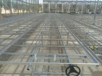 China Hot Galvanized Steel Frame Commercial Greenhouse Tables with Adjustable Shelving and UV Protection for sale