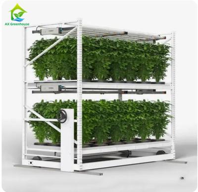 China Multi Layers Nursery Vertical Grow Rack Greenhouse Farming For Planting for sale