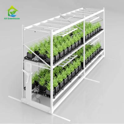 China Horticulture Double Layers Mobile Vertical Grow Rack Vegetable Planting for sale