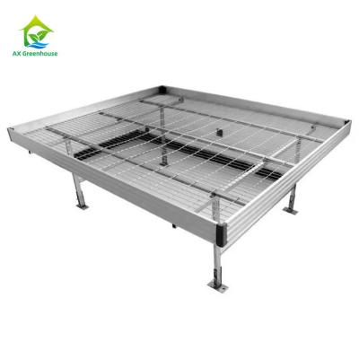 China Nursery Seed Grow Bed Commercial Mesh Grow Table Rolling Benches For Greenhouse for sale