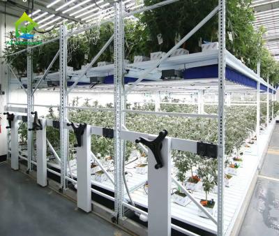 China Agricultura vertical en interiores invernadero semillero de cultivo bastidor de cultivo mesa móvil de cultivo de doble capa en venta