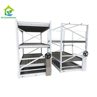 China Agricultural Indoor Movable Grow Rack Double Layers For Seedling Vegetable for sale