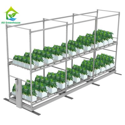 China En el interior de la guardería, hay un soporte hidropónico de acero para el cultivo de invernaderos en venta