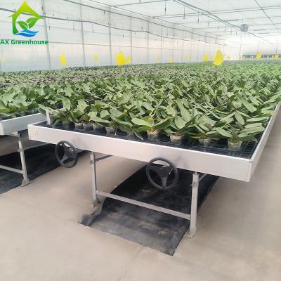 中国 Customized Seed Bed Adjustable Rolling Benches Grow Table Plastic For Flower Planting 販売のため