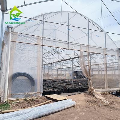 China Multi Span Tropical Metal Frame Structure Tomato Poly Tunnel Greenhouse For Fruits Vegetables for sale