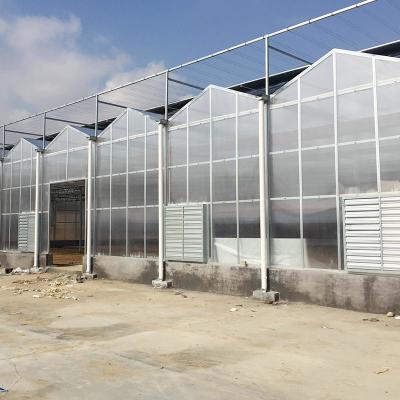 China Schneebeständig Landwirtschaft Polycarbonat Aluminiumrahmen PC-Blatt Gewächshaus für Erdbeeren zu verkaufen